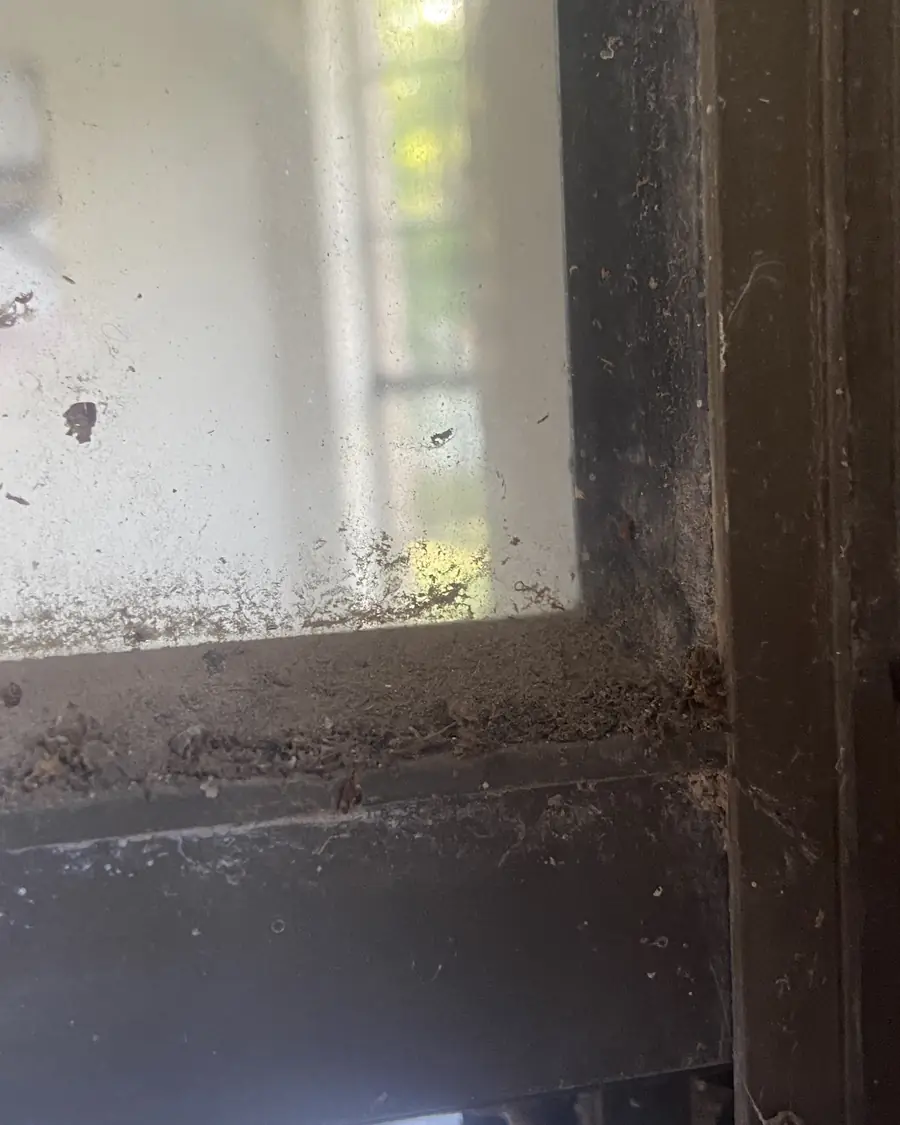 Close up of silt and debris packed along the bottom edge of a pane and its frame after the solar screen was removed