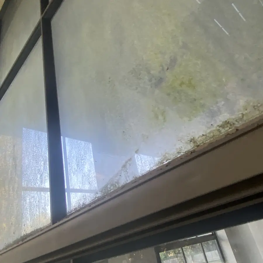 Mold and mildew on a window pane that sat behind a solar screen, with silt packed along the frame