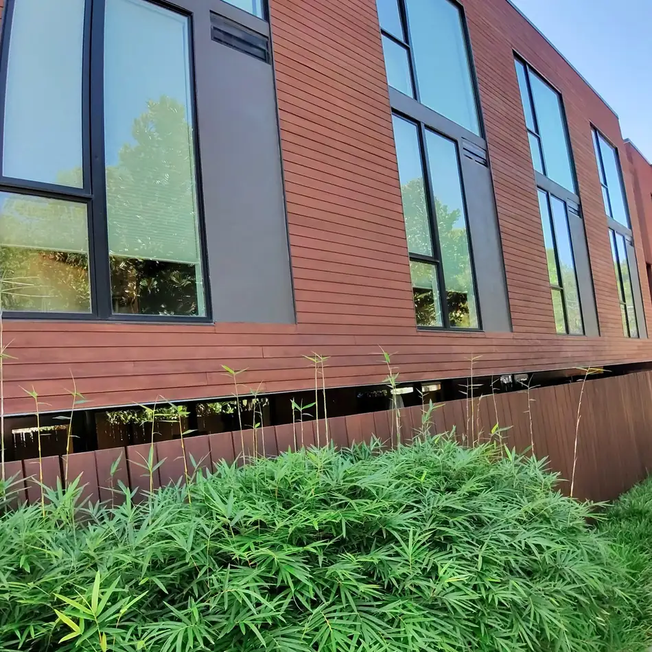 Row of tall windows along a modern wood clad elevation