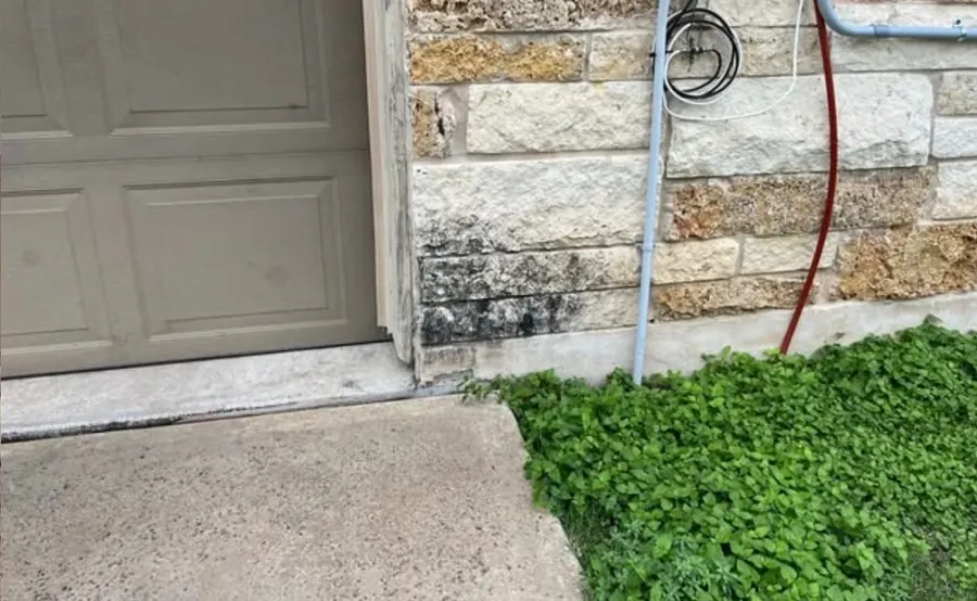 A black band of algae across the lower limestone courses beside a garage door, next to a red hose and ground cover