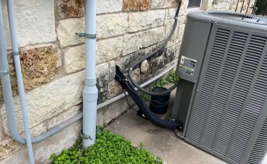 Dark algae staining on limestone around an air conditioning condensate line, ground cover growing at the base of the wall